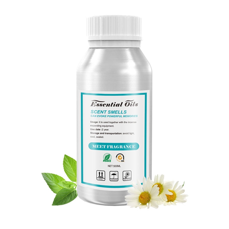 Free Sample Fragrance Oil Wholesale OEM Private Label Aroma Pure Concentrated Essential Oil New