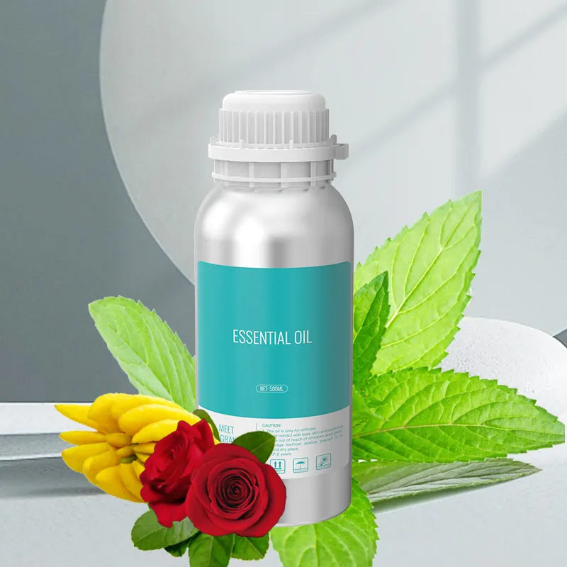 Free Sample Aroma Therapy Essential Oil Diffuser Scent Fragrance for Scent Diffuser